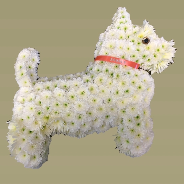 West Highland Terrier