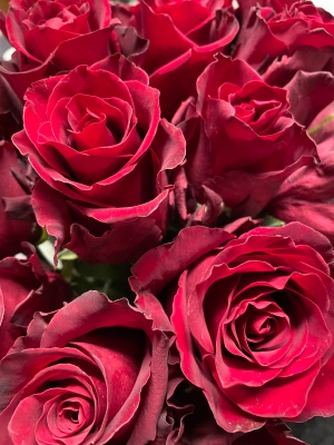 Valentines Red Rose hand tied Selection