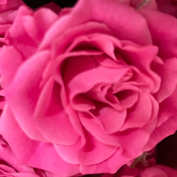 Bright hand tied bouquet