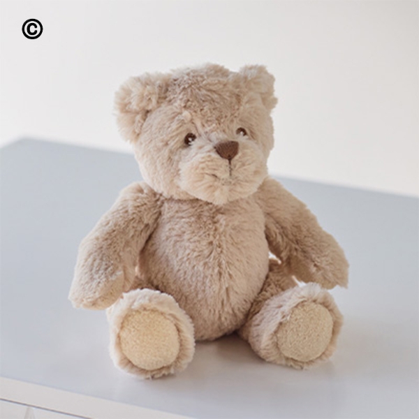 Interflora Teddy