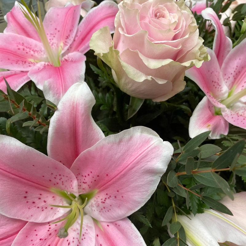 Rose with lilies casket spray