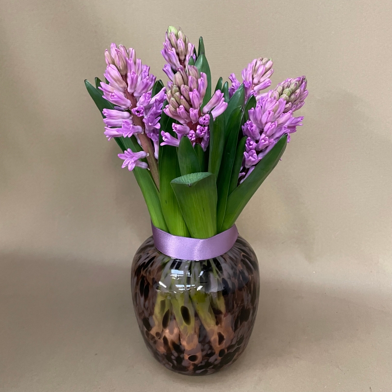 Simply hyacinth vase