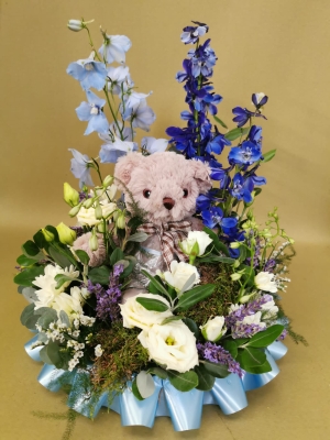 Teddy Garden