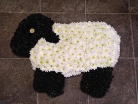 Sheep Tribute