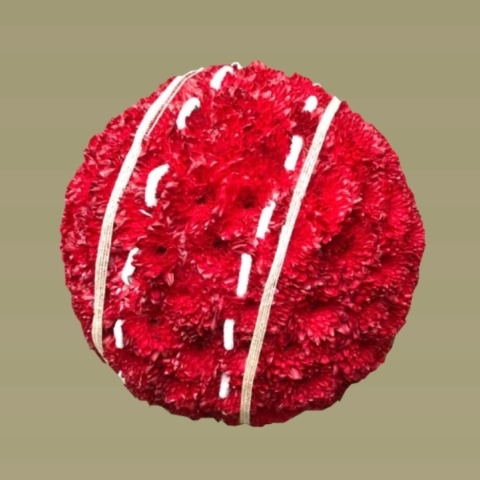 Cricket Ball