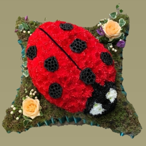 Ladybird