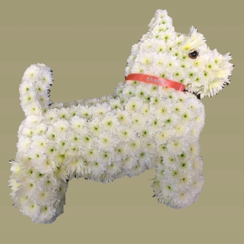 West Highland Terrier