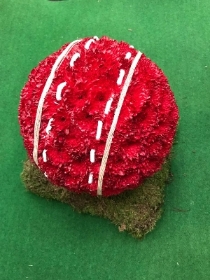 Cricket Ball