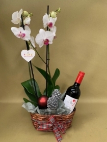 Festive orchid basket