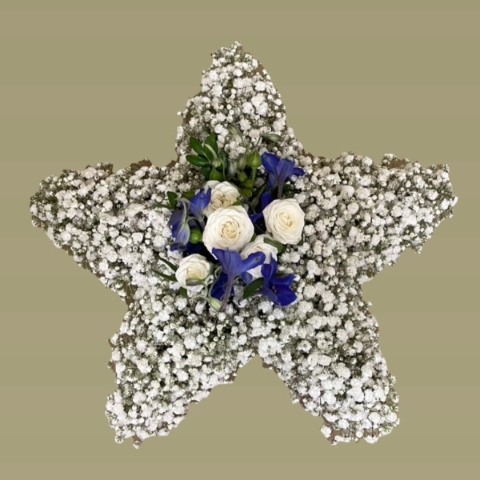 Gypsophilia star 3