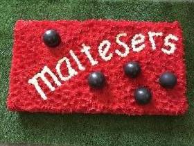 Malteasers