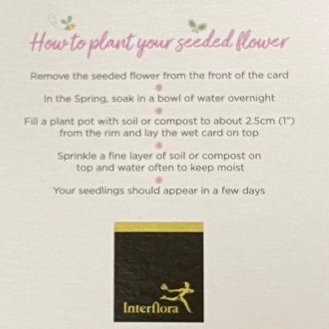 Mothers day buzz gift box