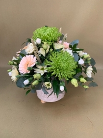 Neutral Arrangement