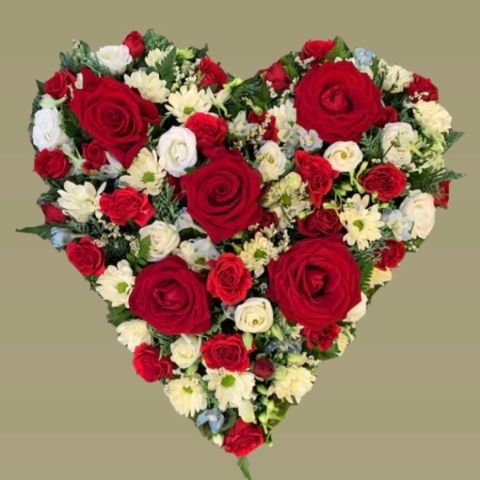 Red and White solid heart