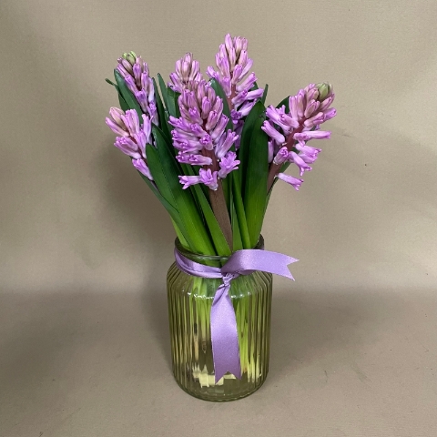 Simply hyacinth vase