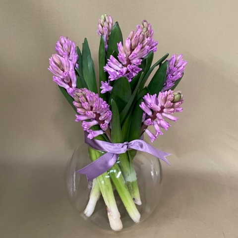 Simply hyacinth vase