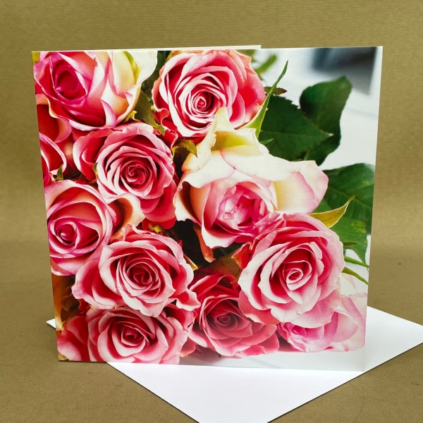 Pink Rose