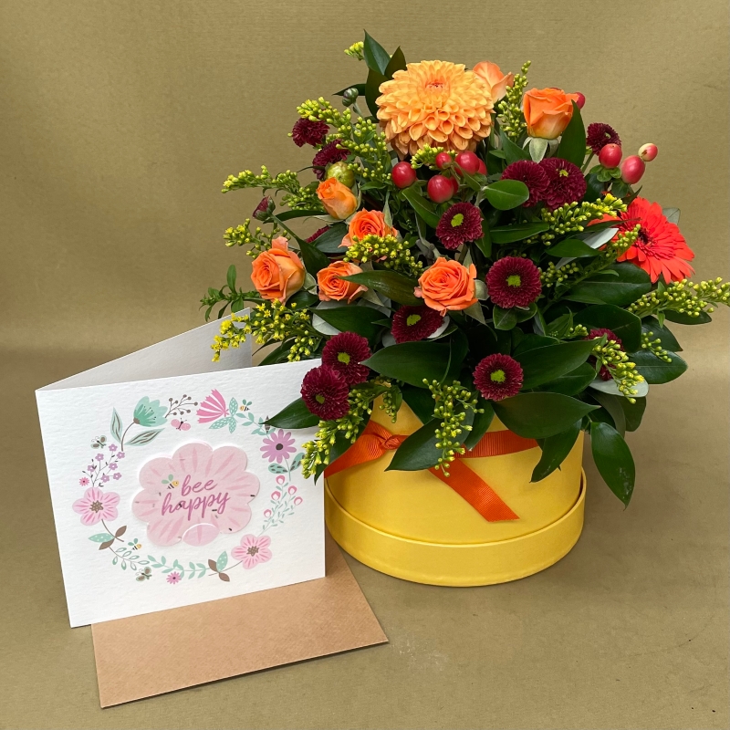 The Bumblebee hat box arrangement
