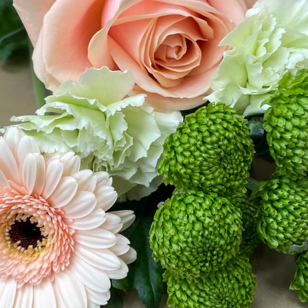 Neutral sheaf