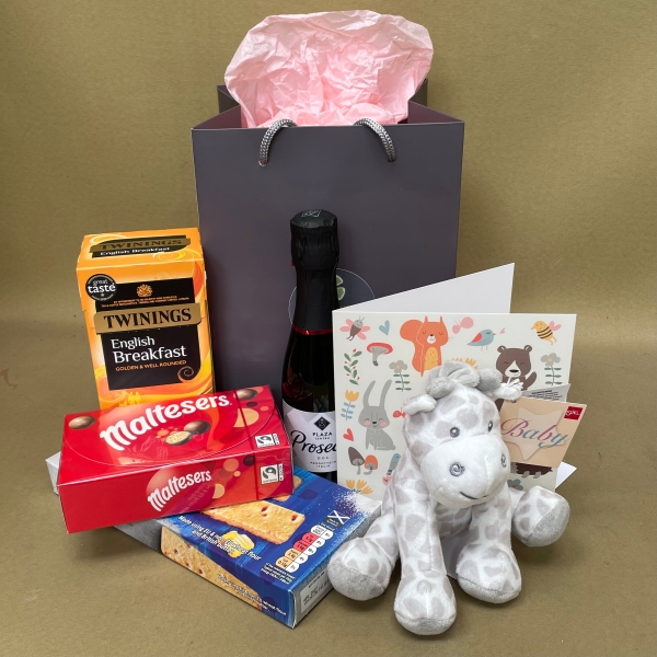 New baby bundle