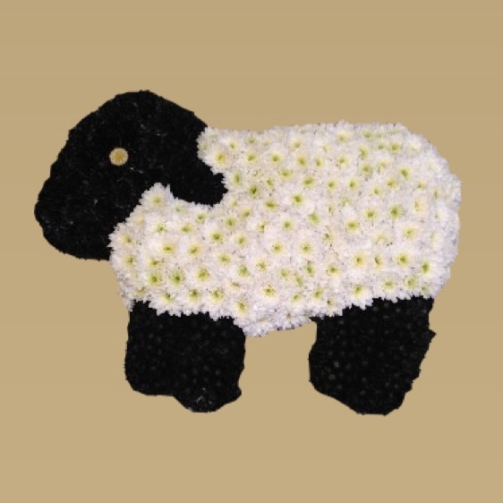 Sheep 2