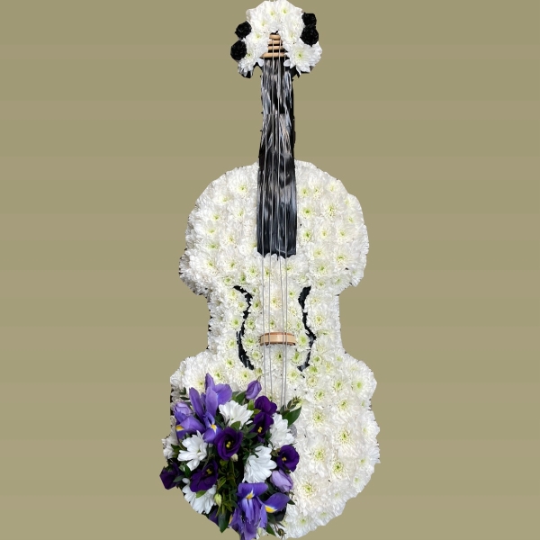 Violin
