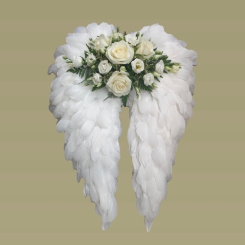 Angel Wings