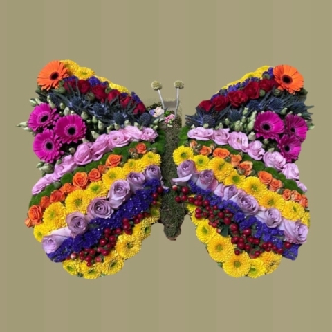 Butterfly 2