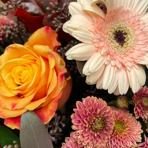 Copper Beech gift box