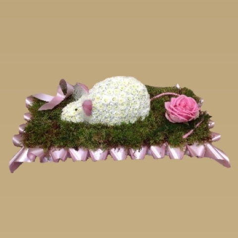 Mouse