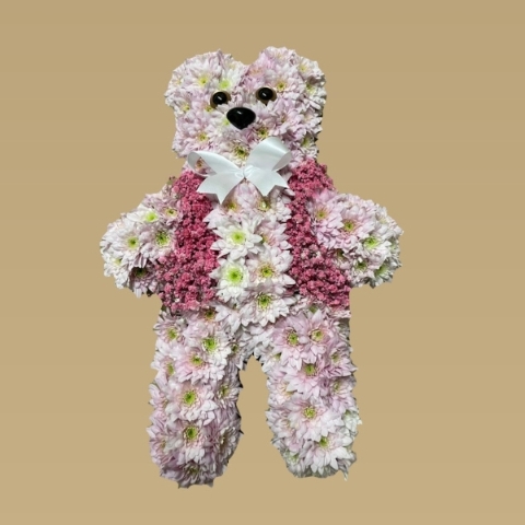 Teddy